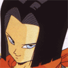 android17.gif