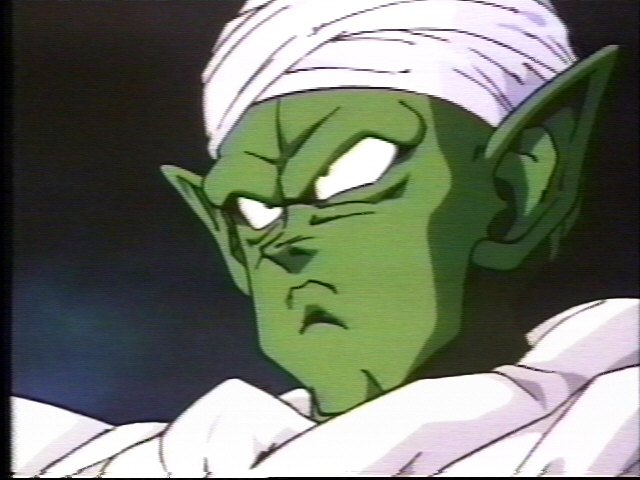 piccolo2.jpg