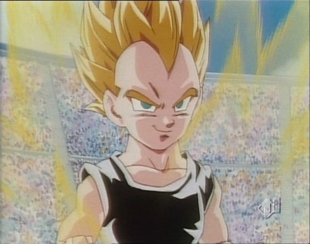 vegetajrssj.gif